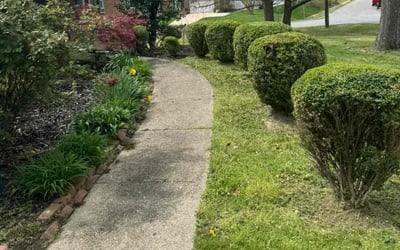 Photo of kathleen d.'s yard after getting landscaping in La Plata, MD