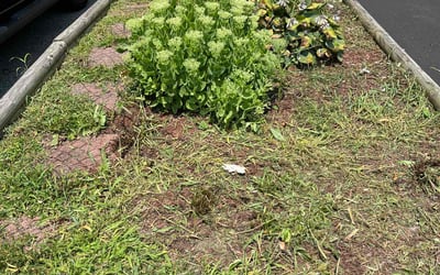 Photo of Karen L.'s yard after getting landscaping in Bethlehem, PA
