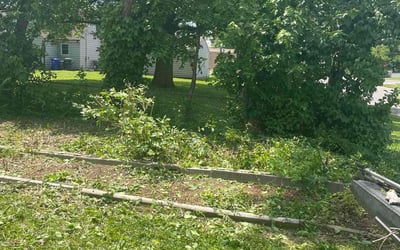 Photo of Shannon B.'s yard after getting landscaping in Jacksontown, OH