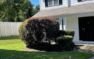 Photo of Keith L.'s yard after getting landscaping in Nelson, GA