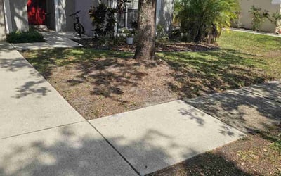 Photo of Mary M.'s yard after getting landscaping in Lithia, FL