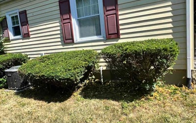 Photo of Karen W.'s yard after getting landscaping in Piqua, OH