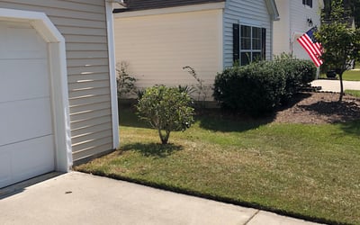 Photo of Derek C.'s yard after getting landscaping in Saint Stephen, SC
