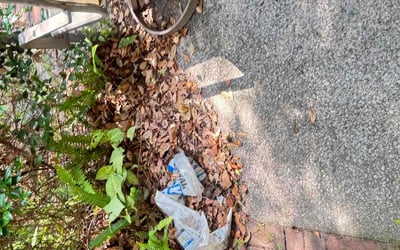 Photo of John M.'s yard after getting landscaping in Jacksonville, FL