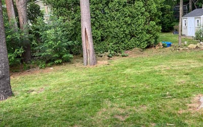 Photo of Mike E.'s yard after getting lawn care in Wakefield, MA