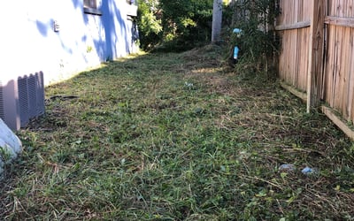 Photo of Susan K.'s yard after getting landscaping in Clearwater Beach, FL