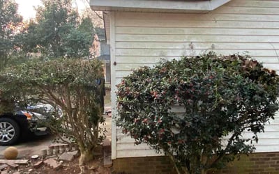 Photo of Velicia B.'s yard after getting landscaping in Spencer, NC