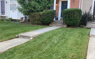 Photo of George H.'s yard after getting landscaping in Hampstead, MD