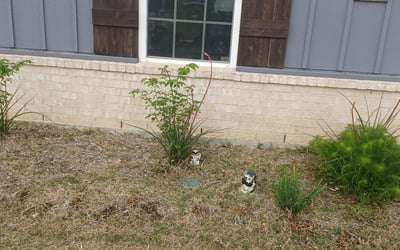 Photo of Mark G.'s yard after getting landscaping in Wolfe City, TX