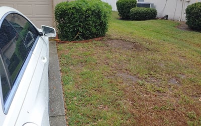 Photo of Greg H.'s yard after getting landscaping in Trilby, FL
