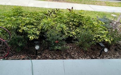 Photo of Megan D.'s yard after getting landscaping in Fort Meade, FL