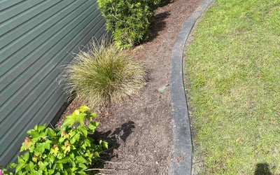 Photo of Michael M.'s yard after getting landscaping in Isle Of Palms, SC