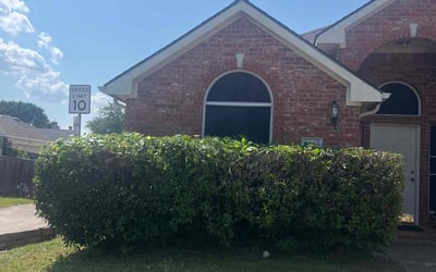 Photo of Greg H.'s yard after getting landscaping in Elmo, TX