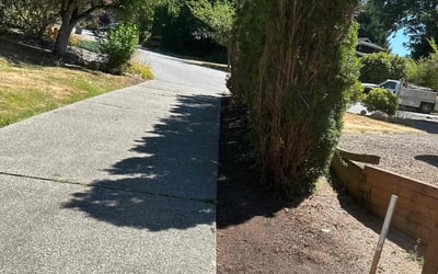 Photo of Tiffany M.'s yard after getting landscaping in Snoqualmie Pass, WA