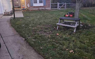 Photo of Rachel K.'s yard after getting landscaping in Sparta, KY