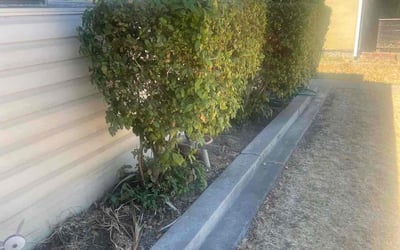 Photo of Richard C.'s yard after getting landscaping in Escalon, CA