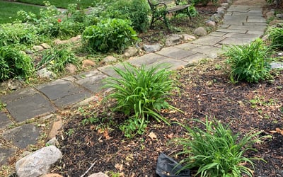 Photo of William S.'s yard after getting landscaping in Wellington, OH