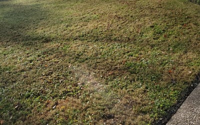 Photo of Michelle R.'s yard after getting landscaping in Shelbyville, KY