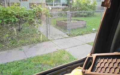 Photo of Steve H.'s yard after getting tree care in Elk River, MN