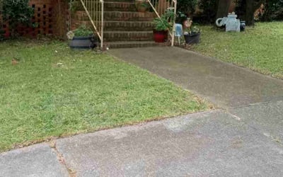 Photo of Myra W.'s yard after getting landscaping in Atlanta, GA