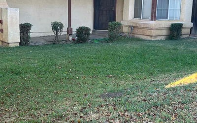 Photo of Nikki S.'s yard after getting landscaping in Palm Desert, CA