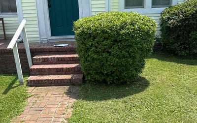 Photo of Joshua H.'s yard after getting landscaping in Saint George, SC