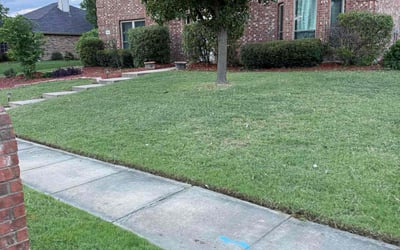 Photo of Eric J.'s yard after getting landscaping in Rockwall, TX