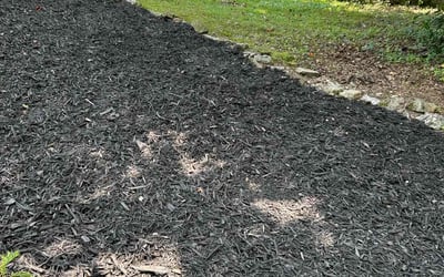 Photo of Nancy C.'s yard after getting landscaping in Chattanooga, TN
