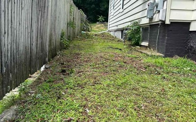 Photo of Kevin R.'s yard after getting landscaping in East Providence, RI