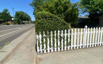 Photo of Andrew j.'s yard after getting landscaping in Sacramento, CA