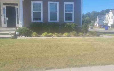 Photo of Josh S.'s yard after getting landscaping in Gatesville, NC