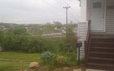 Photo of Stephanie T.'s yard after getting landscaping in Newport, KY