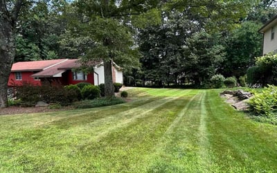 Photo of Ira M.'s yard after getting lawn care in Berlin, CT