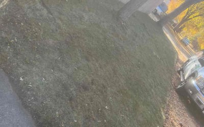 Photo of Kimberly E.'s yard after getting landscaping in River Falls, WI