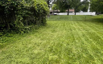Photo of Steven K.'s yard after getting landscaping in College Park, MD