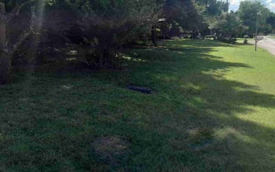 Photo of Shawn M.'s yard after getting landscaping in Midlothian, TX