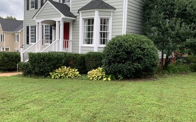 Photo of Jennifer M.'s yard after getting landscaping in Hadensville, VA