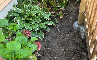 Photo of Carla C.'s yard after getting landscaping in Stevensville, MD