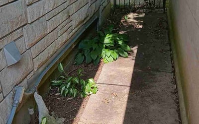 Photo of Mary M.'s yard after getting landscaping in Prospect, KY