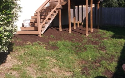 Photo of Chris L.'s yard after getting landscaping in Elmendorf, TX
