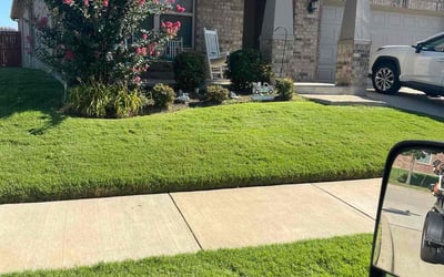 Photo of Karen L.'s yard after getting landscaping in Denton, TX