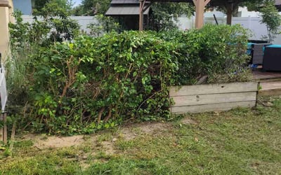 Photo of Paul G.'s yard after getting landscaping in Haines City, FL
