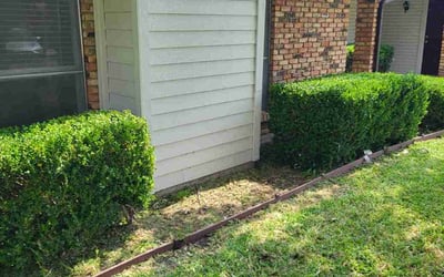 Photo of John B.'s yard after getting landscaping in Sachse, TX