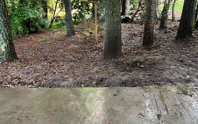 Photo of Kim B.'s yard after getting landscaping in Stone Mountain, GA