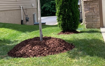 Photo of Joshua C.'s yard after getting landscaping in Partlow, VA