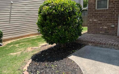 Photo of Ishy M.'s yard after getting tree care in Stockbridge, GA