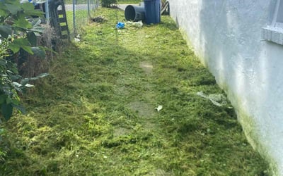 Photo of CJ B.'s yard after getting landscaping in Pittsburgh, PA
