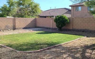 Photo of Linda G.'s yard after getting tree care in Fountain Hills, AZ