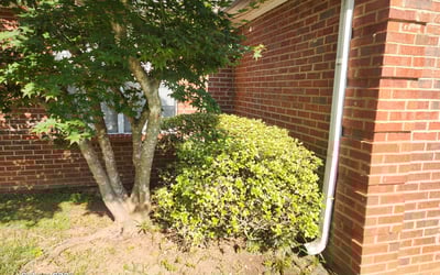 Photo of Hope S.'s yard after getting landscaping in Lithonia, GA