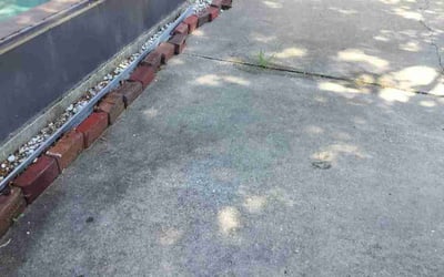 Photo of Jessica B.'s yard after getting landscaping in Saint Petersburg, FL